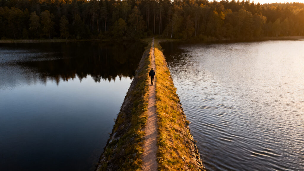 Chemin sur digue entre étang et forêt